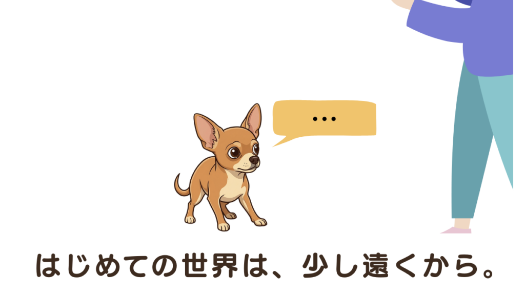 お迎えした愛犬がなかなか近寄ってくれず、寂しい思いをしていませんか？繁殖場しか知らなかった子にとって、普通の家は未知の世界。愛犬が安心して心を開くための「適切な距離感」と、見守り方のコツを実体験から解説します。焦らず、少し遠くから見守る優しさを届けます。

