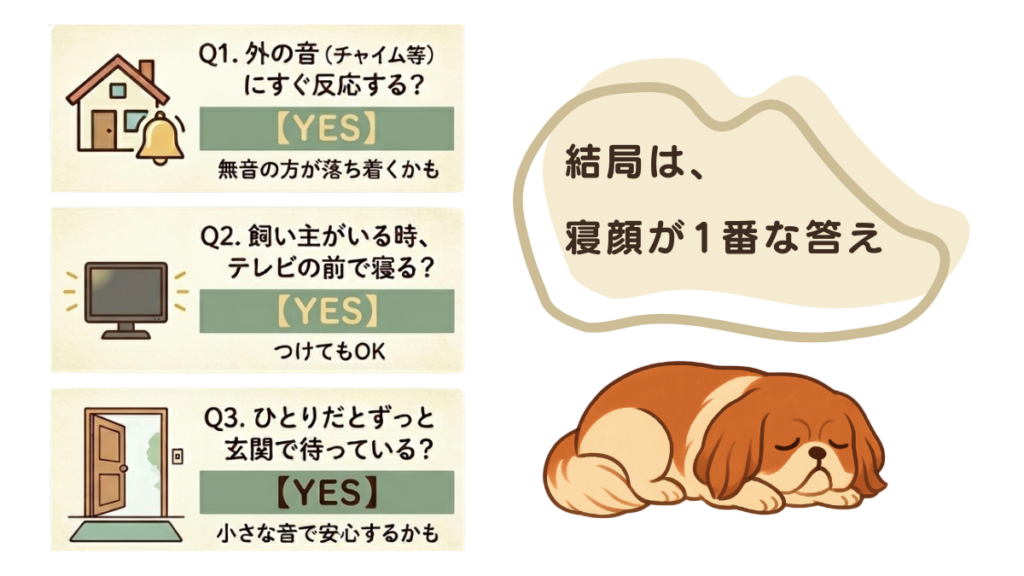 留守番中の愛犬にテレビは必要？実は、外の音に敏感な子か、普段テレビの前で寝る子かで正解は異なります。愛犬の性格に合わせた「音の有無」の見極め方を3つのチェックポイントで解説！わが家の愛犬が見せてくれる「安心の寝顔」をゴールにした環境作りを提案します。