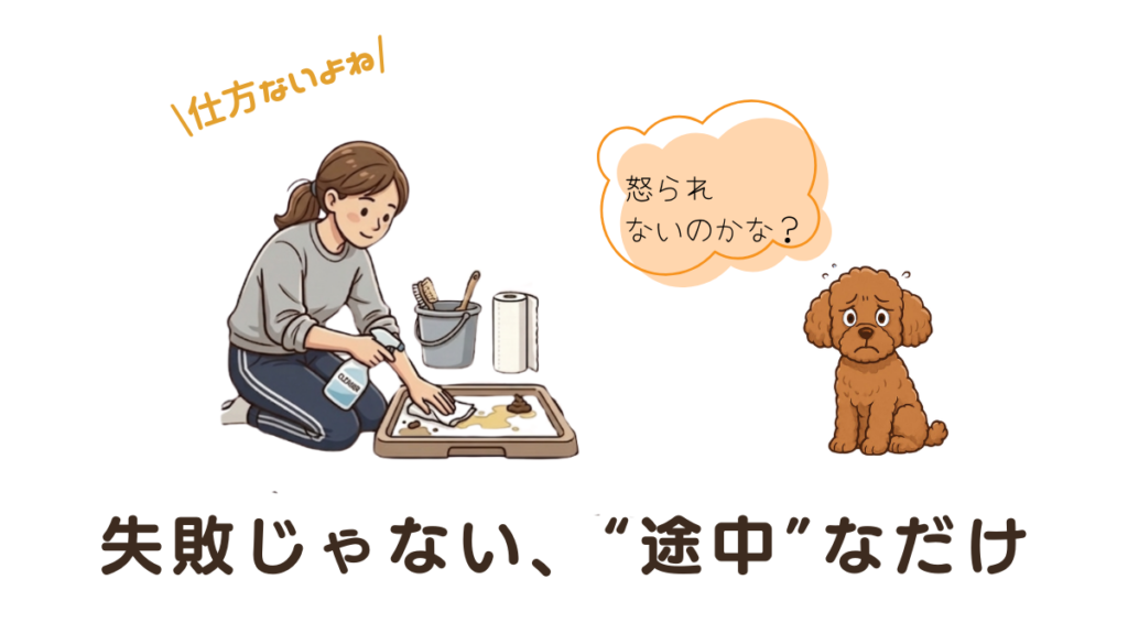 愛犬のトイレの失敗が続き、つい溜め息をついていませんか？それは失敗ではなく、成功への「途中」なだけかもしれません。この記事では、叱らずに教えるコツと飼い主さんの心の持ち方を解説します。愛犬と笑顔で向き合い、一歩ずつ進むためのヒントをお届けします。
