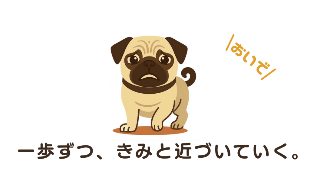 繁殖引退犬を迎えたいけれど、何から始めればいいか迷っていませんか？「一歩ずつ近づきたい」という願いを叶えるために、最初の連絡から見学時のチェック項目まで、お迎えのステップをやさしく解説。愛犬の不安を安心に変え、新しい家族としてのスタートを完璧に準備しましょう。
