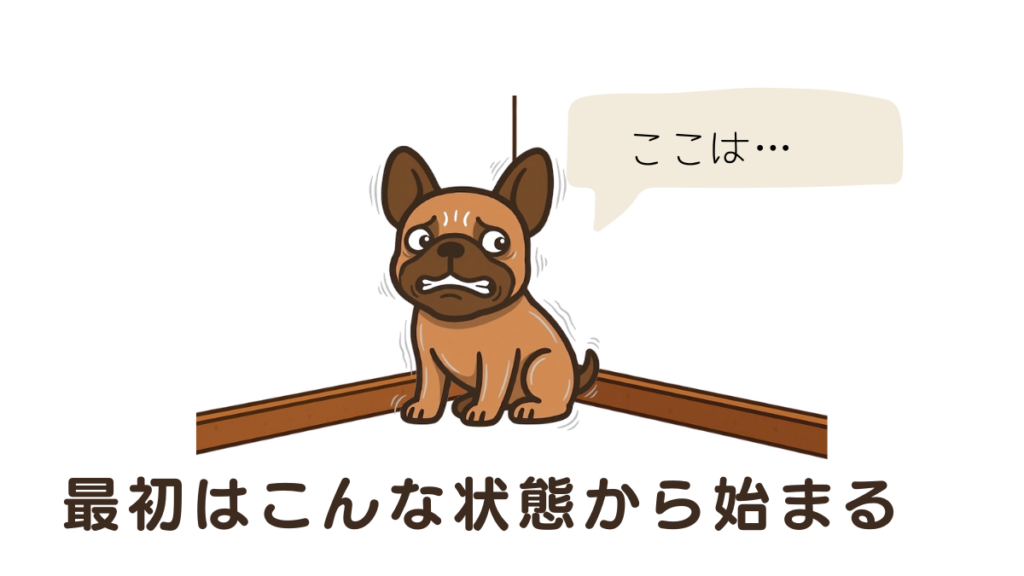繁殖引退犬を迎え、隅っこで震える愛犬の姿に「どう接すればいいの?」と悩んでいませんか?本記事では、怯えて目が合わなかった愛犬が心を開くまでの過程と、分離不安への具体的な対処法を解説。焦らず信頼を築くためのステップがわかります。