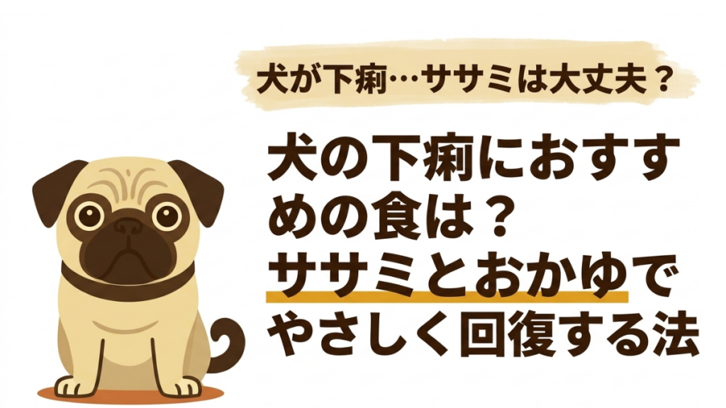 愛犬の急な下痢、何を食べさせれば良いか迷っていませんか？実はササミの与え方次第で回復をサポートできるんです。過去に生肉を与えて失敗した経験を持つ私が辿り着いた、お腹にやさしい「レスキューごはん」の作り方と適切な量を解説します。

