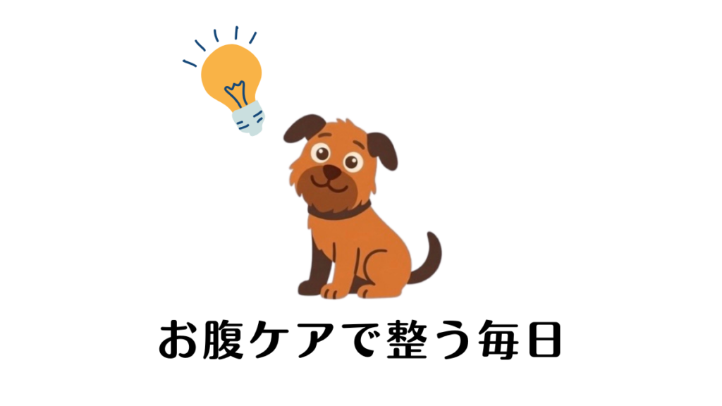 愛犬の軟便や下痢が続き、毎日お尻を拭く日々に疲れていませんか？繁殖引退犬として迎えた愛犬も、実はお腹の弱さに長年悩まされてきました。試行錯誤の末に見つけた「お腹ケア」の正解と、フード選びのコツを公開。スッキリ整う毎日の作り方がわかります。

