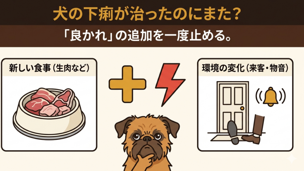 愛犬の下痢が再発して驚いていませんか？実は「良かれ」と思って追加した生肉や、ちょっとした環境の変化が原因かもしれません。我が家の失敗体験から学んだ、お腹のトラブルを繰り返さないための「引き算のケア」をご紹介。まずは一度止めて、愛犬をリラックスさせるコツを伝えます。