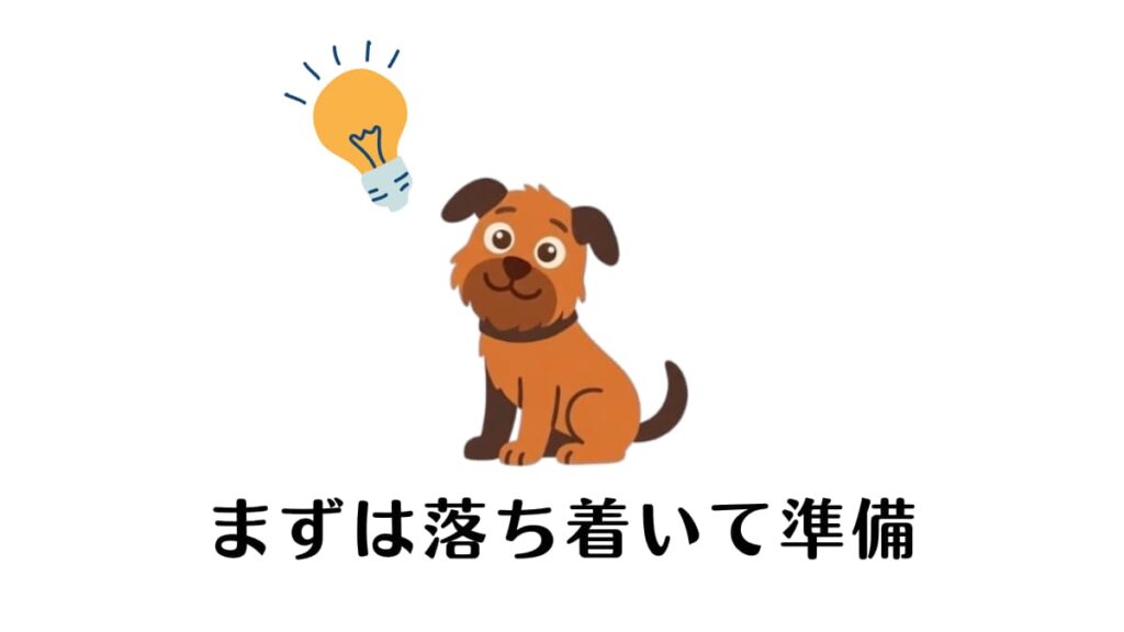 繁殖引退犬を迎え、やるべきことの多さに驚いていませんか？役所の手続きから健康診断、生活環境の準備まで、優先順位を整理して解説します。愛犬を家族に迎えた際の実体験をもとにした完全ガイドで、新しい生活への不安を「安心」に変えましょう。
