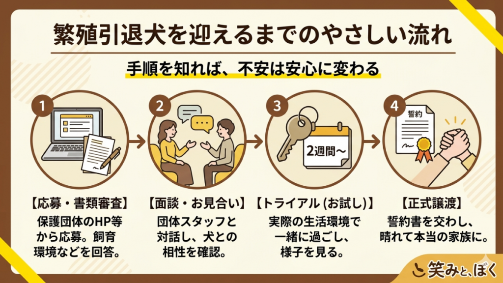 「里親って具体的に何をすればいいの？」と足踏みしていませんか？応募から面談、トライアルを経て正式譲渡に至るまでの4ステップを徹底解説。愛犬を迎える際の実体験をもとに、各工程の注意点や準備すべきことをまとめました。手順を知れば、あなたの不安は安心に変わります。