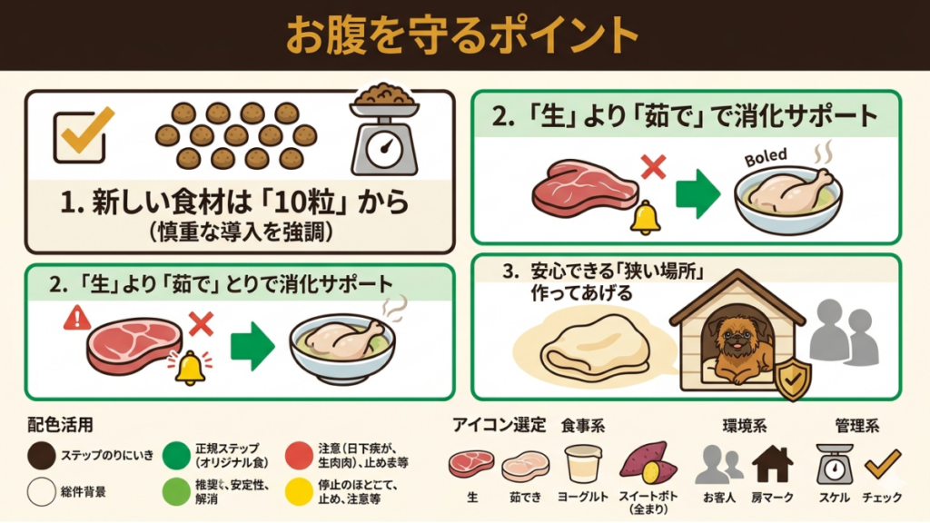 一度は治った愛犬の下痢がまた再発して驚いていませんか？良かれと思った生肉が逆効果だった我が家の失敗体験をもとに、お腹を守る「新食材は10粒から」「生より茹でる」といった具体的なコツを解説。再発の不安を解消し、愛犬が安心できる環境づくりのヒントがわかります。
