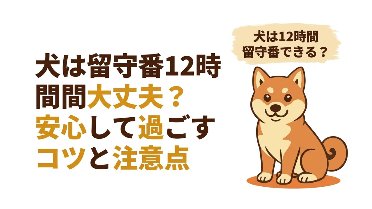 仕事や外出で愛犬に12時間の留守番をさせることに、罪悪感や不安を感じていませんか？長時間の留守番が犬に与える影響と、愛犬がストレスなく安心して過ごすための具体的な工夫をまとめました。飼い主の不安を解消し、お互いに快適な環境を作るコツを伝授します。