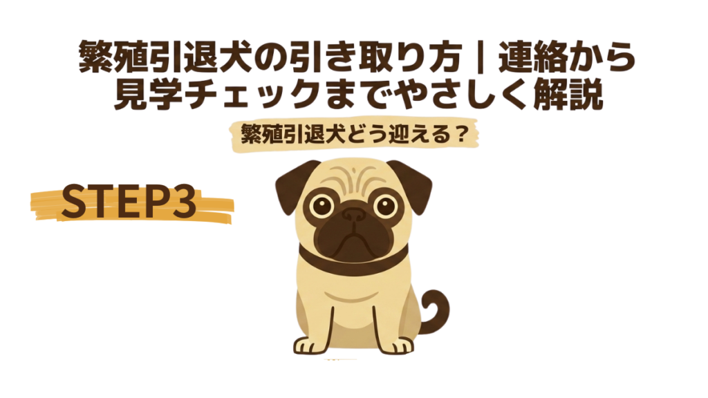 繁殖引退犬を家族に迎えたいけれど、何から始めればいいか分からず悩んでいませんか?連絡手段から見学時のチェックポイントまで、私の愛犬との出会いを元に、失敗しない引き取り方のステップをやさしく解説します。この一冊で、理想のパートナーとの未来が開けます。