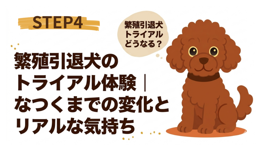 繁殖引退犬のトライアル、「なつくかな?」「どう接すれば?」と不安ではありませんか?画像にある通り、このSTEP4では、愛犬が心を開いてくれるまでの具体的な変化と、飼い主のリアルな気持ちを赤裸々に綴ります。トライアルを成功させるためのヒントが満載です。