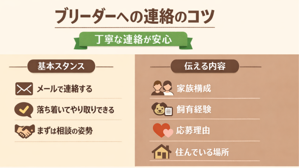 ブリーダーさんへの最初の連絡、何を書けばいいか迷って驚くほど緊張していませんか？失礼のない基本スタンスや、伝えるべき家族構成・応募理由のコツをやさしく解説します。愛犬と出会うための「最初の手紙」を自信を持って送れるよう、具体的なポイントをまとめました。
