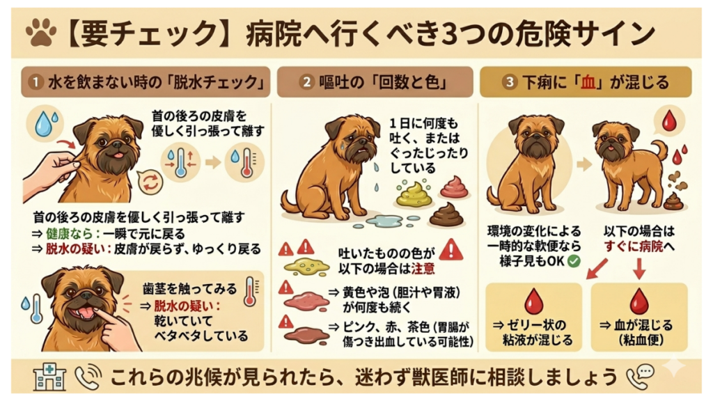 繁殖引退犬をお迎えし、新しいご飯をなかなか食べてくれなくて焦っていませんか？この記事では、「完食」よりまず「一粒」を目標に、環境づくりや少しずつ慣らす3つのコツを解説。我が家の愛犬の経験から分かった、安心して食べてもらうための対策が満載です。
