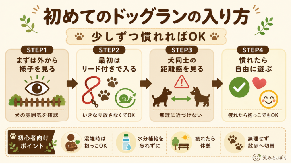 初めてのドッグラン、「他の子と仲良くできるかな？」と緊張していませんか？いきなり放さず、まずは外から様子を見るなど、少しずつ慣れるための4ステップを解説します。愛犬のペースに合わせた安全な入り方を知って、ドッグランデビューを成功させましょう。