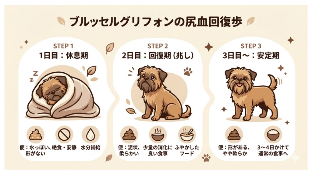 愛犬の下痢に驚いていませんか？慌てず判断するためのフローチャートと、回復までの3ステップをまとめました。元保護犬である愛犬の実体験から得た、病院へ行く基準や段階的な食事の進め方を詳しく解説。飼い主さんが今すぐ取るべき行動が明確にわかります。
