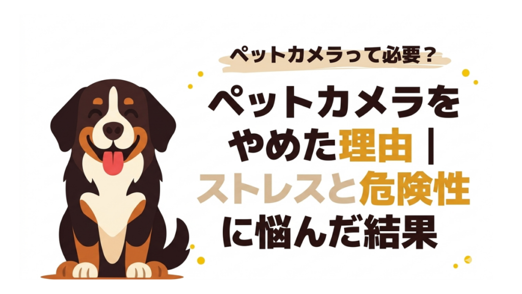 ペットカメラをやめた理由｜ストレスと危険性に悩んだ結果.png
alt=" ペットカメラをやめた理由｜ストレスと危険性に悩んだ結果"