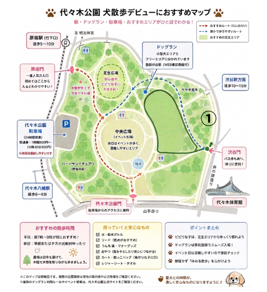 代々木公園デビュー、広すぎてどこを歩けばいいか迷っていませんか?特にビビリな愛犬だと混雑も心配ですよね。この記事では、初心者におすすめのルートや静かな芝生エリアをマップ付きで解説。愛犬のペースに合わせた「休めるお散歩」のコツがわかります。