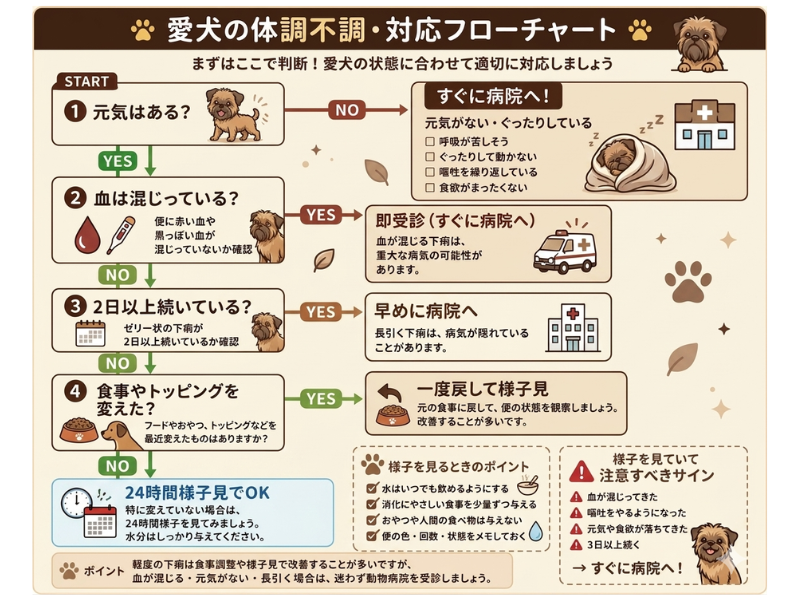 愛犬の便がゼリー状になり、パニックになっていませんか？大切なのは「慌てず判断」すること。見逃せない危険サインと、家庭でできる初期対応をまとめました。元保護犬である愛犬の実体験を交え、飼い主さんが今すぐ知るべき正しい知識を詳しく解説します。
