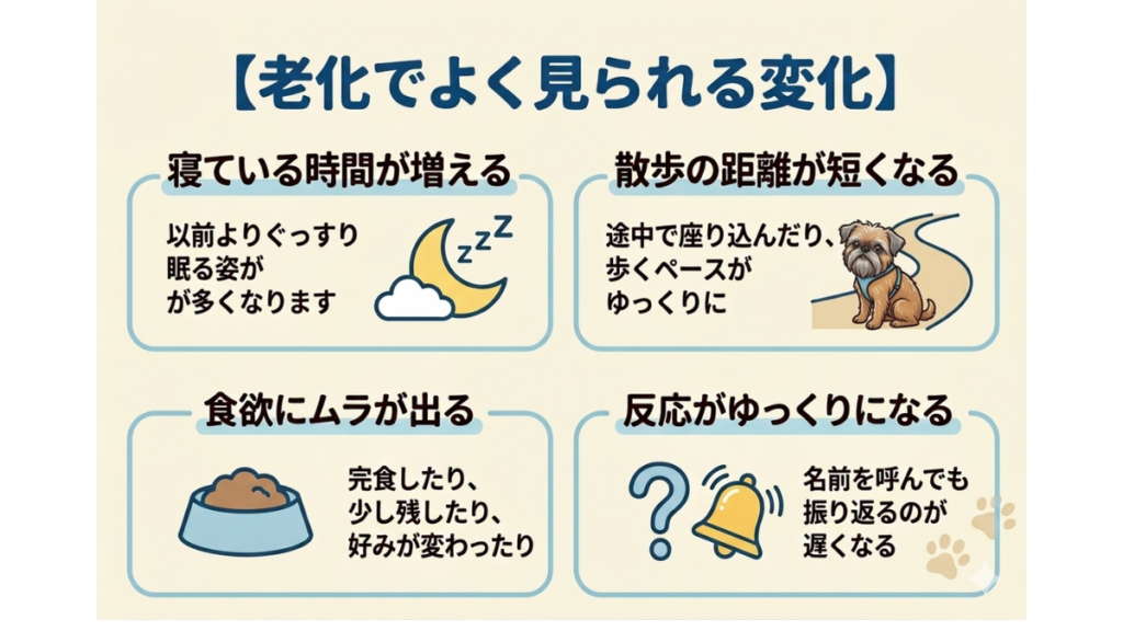愛犬の寝ている時間が増えたり、散歩で座り込んだりする姿に不安を覚えていませんか?それは大切な老化のサインです。この記事では、よく見られる4つの変化や体格ごとの寿命の知識を解説。不安を安心に変え、愛犬との「今」を最高に愛おしむヒントが見つかります。