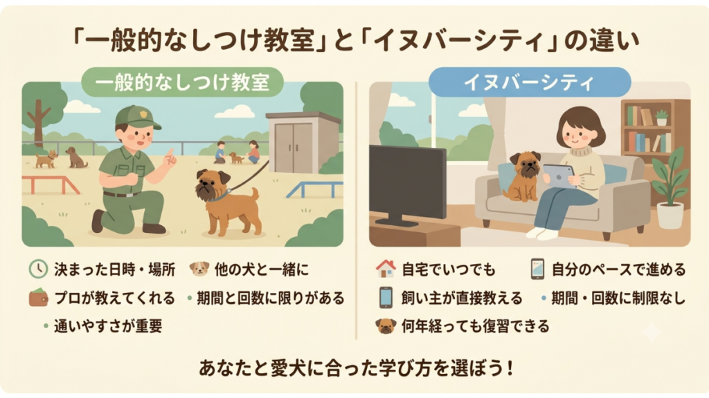 ネットで「怪しい」という評判を見て、イヌバーシティの購入を迷っていませんか？元繁殖引退犬の怖がりな性格や、散歩前の過剰反応に向き合ってきた私が、リアルな口コミと効果を徹底検証！「しつけ教室」との違いや購入前の注意点がすっきり分かります。