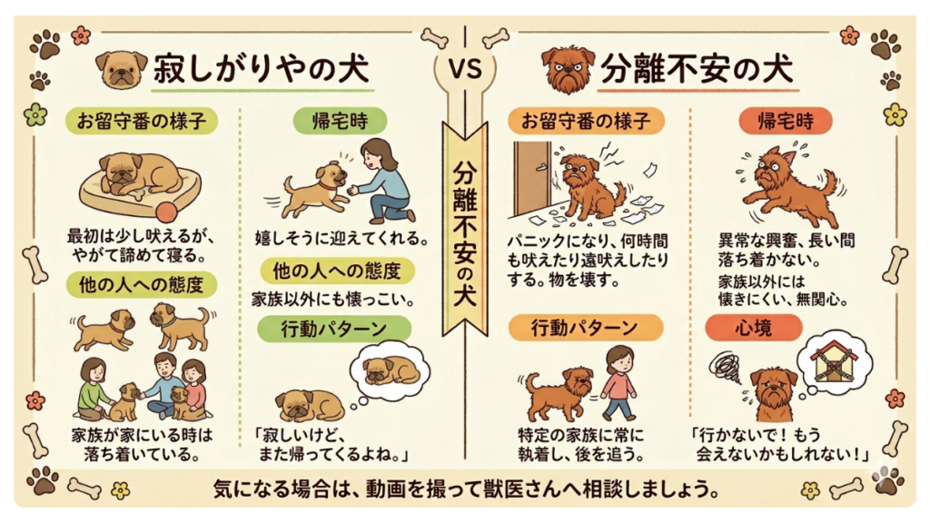 留守番中に吠える愛犬を見て「ただの寂しがり屋?それとも分離不安?」と悩んでいませんか?本記事では、お留守番中の様子や帰宅時の行動、心境の違いから両者を見分けるポイントを徹底解説。愛犬の本当の気持ちを理解し、正しい一歩を踏み出しましょう。