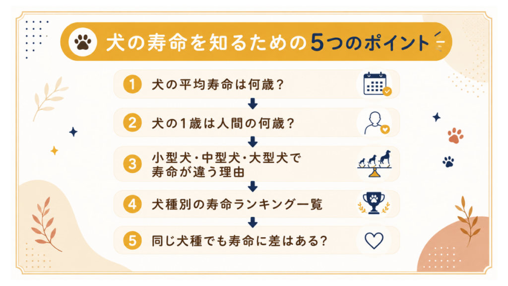 愛犬の寿命を考えてふと不安に襲われませんか?切なくなる前に、まずは正しく知ることが大切です。平均寿命や人間との年齢換算、体格による違いなど「5つの基本ポイント」を徹底解説。不安を安心に変え、愛犬との「今」を最高に愛おしむヒントが見つかります。