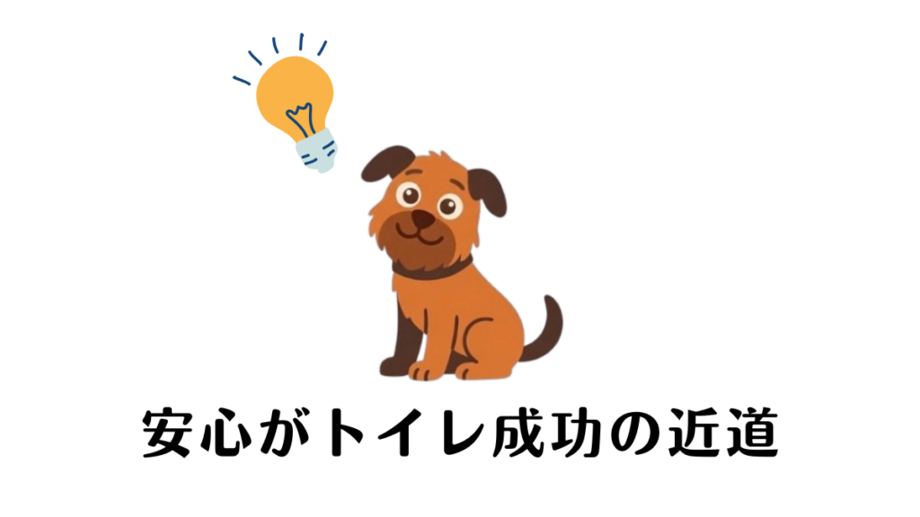繁殖引退犬のトイレトレーニングが進まず、怒りたくないのに悩んでいませんか？「安心がトイレ成功の近道」だと知ることで、我が家の愛犬との関係は劇的に変わりました。この記事では、叱らずに教えられる「トイレ成功のための4ステップ」を解説。愛犬の心に寄り添う、穏やかな練習法を提案します。