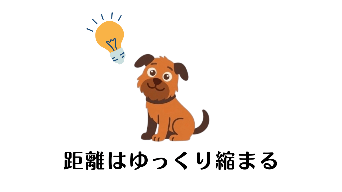 元繁殖犬が人に心を開くのには時間がかかるもの。警戒心が強い愛犬となかなか距離が縮まらず、焦りを感じている飼い主さんへ。この記事では、愛犬が安心感を得るための具体的な環境づくりや、無理のない距離の縮め方をご紹介します。二人だけの信頼関係を一緒に築いていきましょう。

