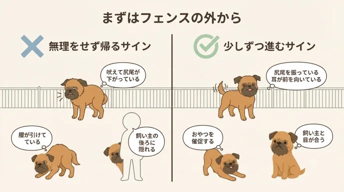 分離不安の愛犬とドッグランは無理だと諦めていませんか？実は愛犬のペースを最優先すれば楽しい思い出作りは可能です。怖がりだった愛犬も、フェンスの外から様子を見る練習を重ね、今では尻尾を振れるようになりました。無理のない見極め方や、ストレスを最小限に抑えて世界を広げるステップを実体験とともに解説します。