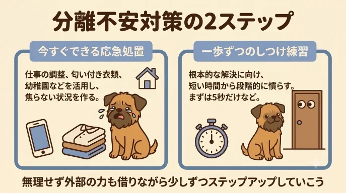 愛犬を置いて仕事へ行くのが怖くて悩んでいませんか？わが家の愛犬も最初は姿が見えないだけで部屋を探し回り、鳴き声に私も胸を痛めました。そんな限界を迎える前に試してほしい、今すぐできる応急処置と、5秒から始める段階的なしつけ練習を解説します。
