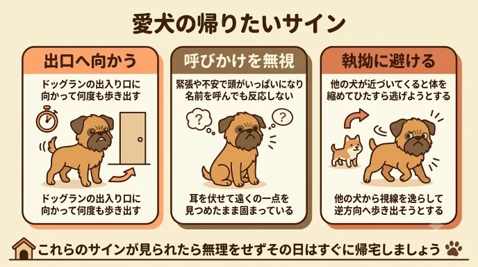 ドッグランで愛犬が動けなくなったり、出口に向かったりして焦っていませんか?そんな「帰りたいサイン」の見極め方と、無理のない利用のコツがわかります。怖がりな我が家の愛犬も、空いた時間に少しずつ見学して慣らしました。焦らずあの子のペースに合わせましょう。