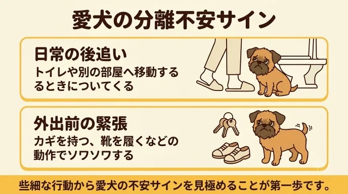 トイレへの移動やカギを持つ音で愛犬がソワソワしていませんか？些細な後追いは分離不安のサインかもしれません。無理に無視せず、5秒から始める「0分トレーニング」の手順と見極め方がわかります。わが家もスモールステップで安心を増やせました。