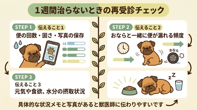 薬を飲んでいるのに愛犬の下痢が1週間治らず「どう伝えるべき？」と不安になっていませんか？再受診時は便の回数や固さ、写真やメモを残しておくと診察がスムーズになります。便の写真を保存して原因を探り、下痢を克服した我が家のリアルな体験をお伝えします。