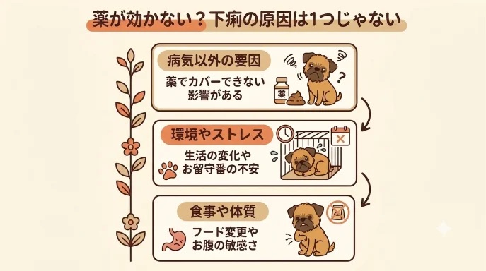 薬を飲ませても愛犬の下痢が1週間も治らず「なぜ効かないの？」と心配になりませんか？長引く下痢は病気だけでなく、ストレスやフードの影響も考えられます。複数の原因を疑い、食事や環境の変化を振り返って克服へと繋げた我が家の体験と対策をお伝えします。