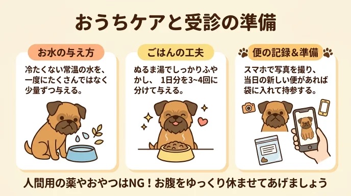 愛犬のゼリー便を見て「自宅でどうケアすればいい？」と慌てていませんか？常温水やぬるま湯でのフード調整、受診に役立つ便の撮影ポイントが分かります。朝だけゼリー便を繰り返した愛犬の写真や記録を持参して受診し、安心できた我が家の体験をお伝えします。
