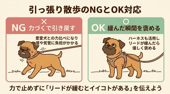 散歩で愛犬に強く引っ張られ、転びそうになってヒヤッとしたことはありませんか？ぐいぐい引っ張る理由は好奇心や恐怖心など様々です。力づくで引き戻さず、リードが緩んだ瞬間に褒めるコツや、愛犬と落ち着いて楽しく歩くための練習方法を紹介します。
