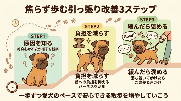散歩で愛犬にぐいぐい引っ張られ、転びそうになってヒヤッとした経験はありませんか？行動の裏には好奇心や恐怖心などの理由があります。他の犬から逃げるように引っ張っていた愛犬の体験談をもとに、負担を減らして優しく改善する3ステップを解説します。
