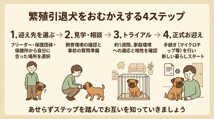 繁殖引退犬を迎えたいけれど「何から始めればいいの？」と不安になっていませんか？迎え先選びから見学、トライアル、正式お迎えまでの4ステップが分かります。見学時にブリーダーさんの後ろへ隠れていた愛犬と焦らず距離を縮めた我が家の体験から解説します。