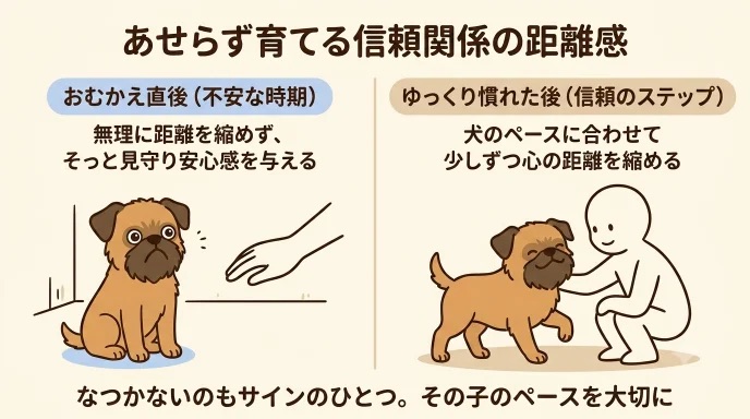 繁殖引退犬を迎えて「なかなか心を開いてくれない…」と焦っていませんか？お迎え直後はそっと見守り、愛犬のペースに合わせて距離を縮めるコツが分かります。最初は不安で家族にべったりだった愛犬が少しずつ感情表現できるようになった我が家の歩みを解説します。