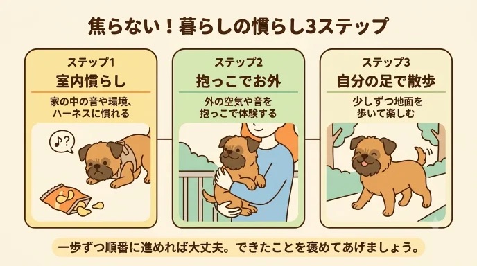 繁殖引退犬のお散歩で「外を怖がって歩いてくれない…」と困っていませんか？室内でのハーネス装着から抱っこ散歩、自分の足で歩くまでの3ステップが分かります。袋の音に驚き散歩も抱っこからだった愛犬と、山登りまで楽しめるようになった実体験を解説します。