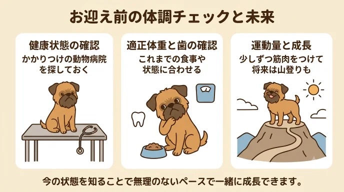 繁殖引退犬をおむかえするにあたり「健康面や運動量が心配…」と不安になっていませんか？かかりつけの病院探しや歯・体重のチェックなど、事前準備のコツが分かります。最初は長く歩けなかった愛犬と、少しずつ体力をつけて山登りを楽しめるようになった実体験を解説します。