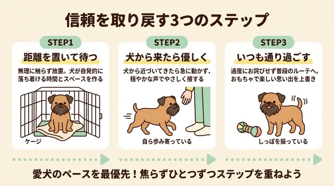 怒鳴ってしまって愛犬が怯え「もう信頼を取り戻せないかも」と焦っていませんか?距離を置いて待つ方法や犬から来たら優しく接する3ステップが分かります。大きな物音で部屋の隅へ逃げた愛犬と、ケージを活用して焦らず絆を修復していった我が家の体験談は必見です。