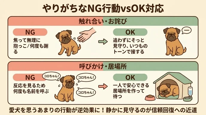 怒鳴ったあと愛犬が逃げ出し「焦って抱っこしたり何度も謝ったり」していませんか?プレッシャーを与えるNG行動と、静かに見守るOK対応が分かります。部屋の隅へ逃げていた愛犬に寄り添い、ケージを活用して信頼を取り戻した我が家の体験談は必見です。
