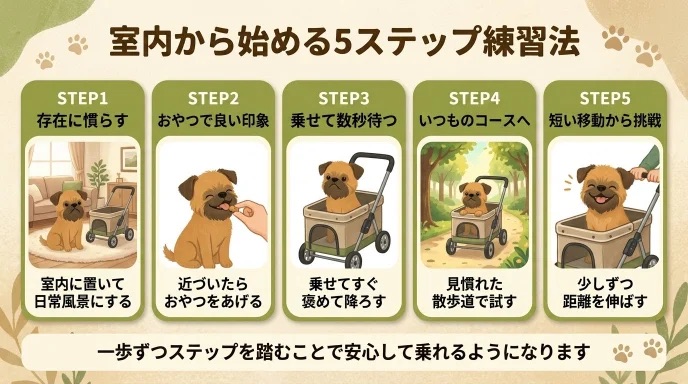 カート嫌いな愛犬に「どうやって練習を進めればいいの？」と迷っていませんか？室内に置いて存在に慣らすことから始め、外へ出るまでの5ステップ練習法が分かります。ソワソワして抱っこをせがんでいた愛犬と、無理なく段階を踏んで克服できた我が家の体験談は必見です。