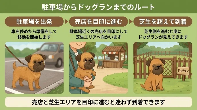 代々木公園ドッグランへ車で行く際「駐車場から迷わずたどり着けるかな」と心配していませんか?売店や芝生エリアを目印にする分かりやすい移動ルートが分かります。混雑する休日を避け、抱っこ散歩を交えながら迷わず向かえた我が家の体験談は必見です。