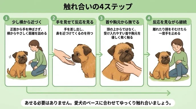 愛犬に触ろうとして避けるような動きをされ、接し方に悩んでいませんか？正面から手を伸ばさず少し横から近づくなど、触れ合いの4ステップを意識するだけで愛犬の反応が変わります。あせらず優しく接してリラックスできる距離感を掴みましょう。