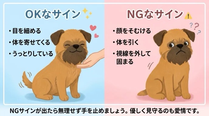 愛犬を撫でているときの表情や仕草、喜んでいるのか嫌がっているのか分からず不安になりませんか？目を細めるOKサインと、顔をそむけるNGサインの見分け方を解説。愛犬の出すサインに気づいて適切に対処できれば、もっと信頼関係が深まります。