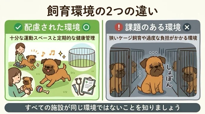 繁殖犬が普段どんな場所で暮らしているか気になっていませんか?十分な運動スペースや適切な健康管理がある施設もあれば、狭いケージで負担がかかる環境もあります。元繁殖犬の愛犬を迎えた経験から、施設ごとに異なる飼育環境の実態を分かりやすく解説します。