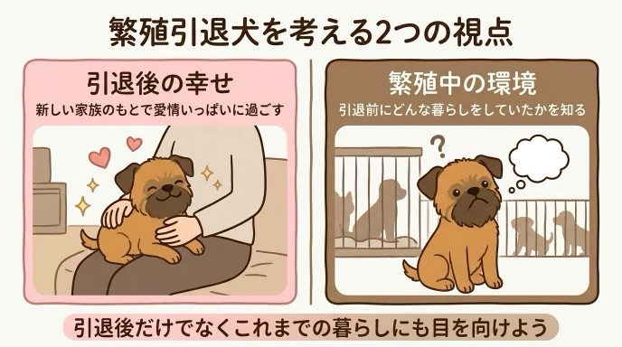 繁殖引退犬を迎える際、引退後の暮らしばかり気になっていませんか?引退後に新しい家族と幸せに過ごすことだけでなく、それまでの繁殖中の環境を知ることも大切です。元繁殖犬の愛犬を迎えた経験から、犬の幸せを本気で考える2つの視点を分かりやすく解説します。